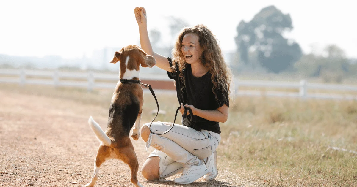 How to Start a Successful Dog Training Business