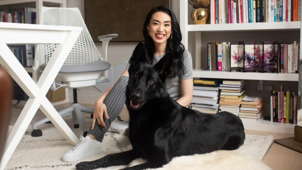 Business Model Evolution: How Did Your Offering Develop?