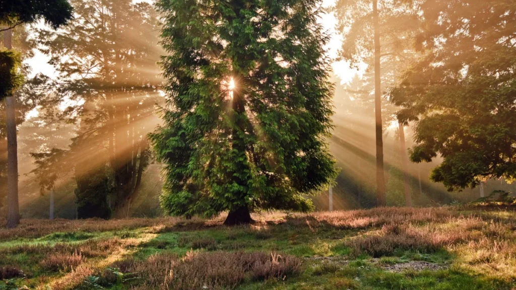 Trust Starts With Delivering the Hard Truth